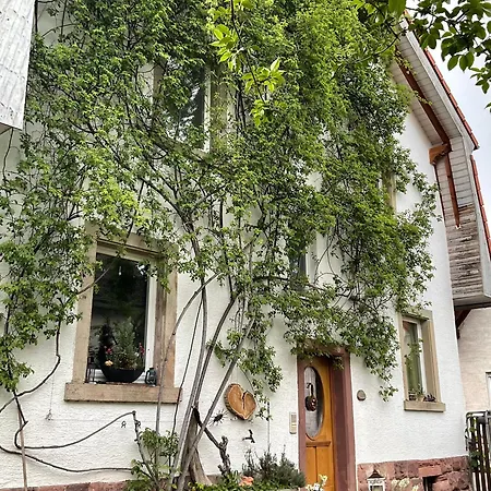 Gemuetliches Gaestezimmer In Charmantem Einfamilienhaus 홈스테이 오티그하임